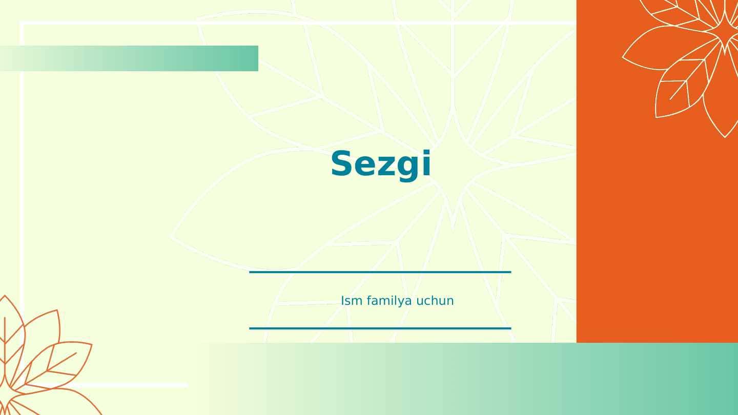 Sezgi