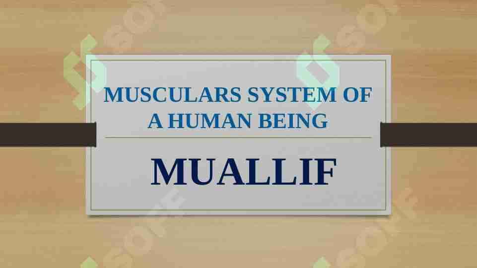 MUSCULARS SYSTEM OF A HUMAN BEING