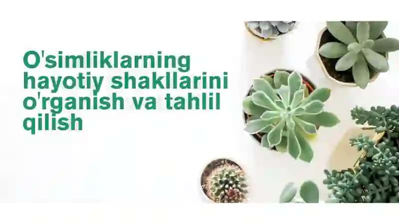 O'simliklarning hayotiy shakllarini o'rganish va tahlil qilish