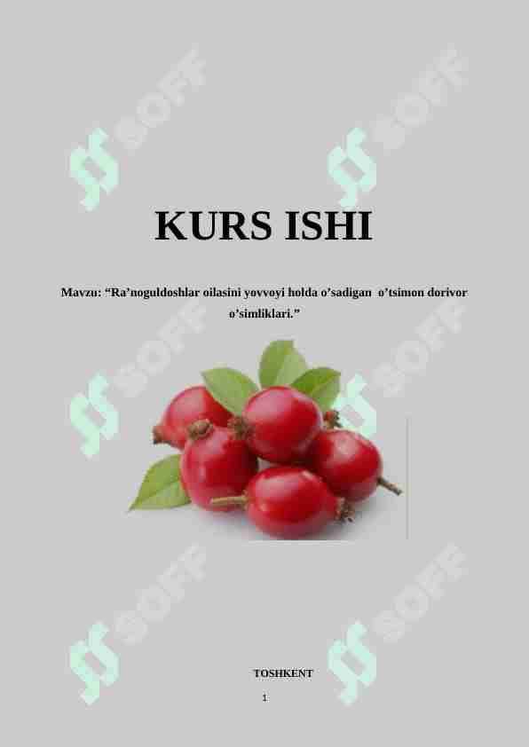 Ra’noguldoshlar oilasini yovvoyi holda o’sadigan o’tsimon dorivor o’simliklari