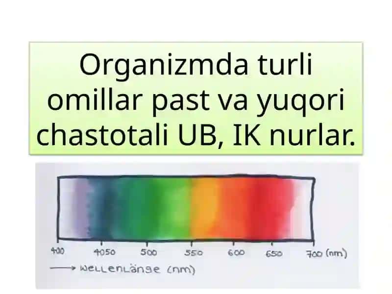 Ultrabinafsha (UB) nurlar