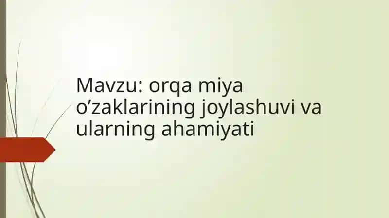 ORQA MIYA O‘ZAKLARINING JOYLASHUVI VA ULARNING AHAMIYATI
