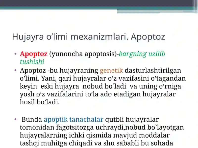 Apoptoz