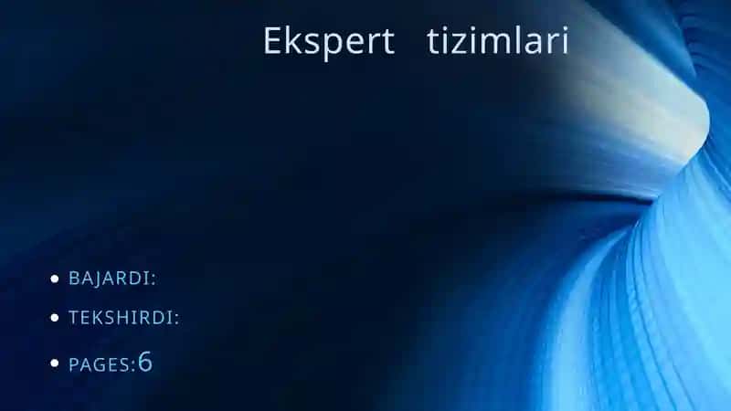 Ekspert tizimlari