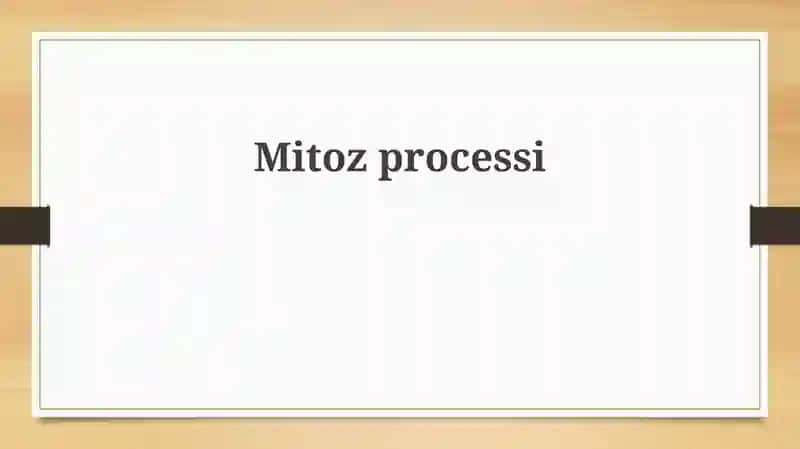 Mitozprocessi