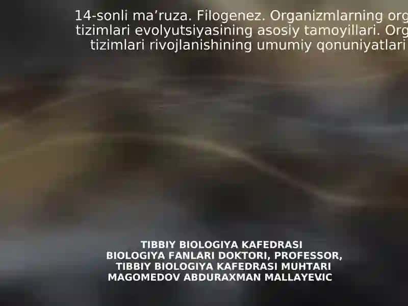 14-sonli ma’ruza