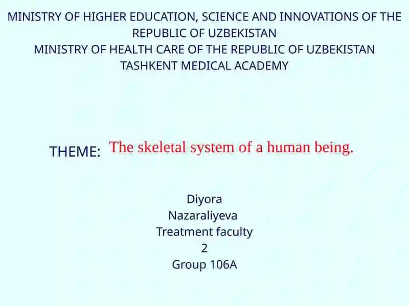 The skeletal system of a human being