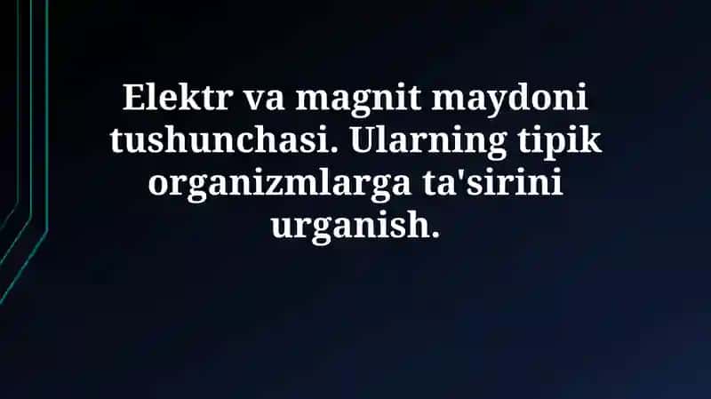 Elektromagnit maydonlar