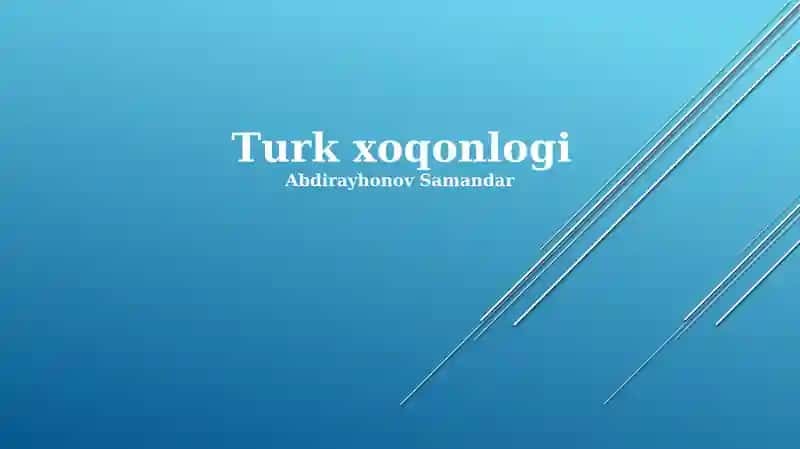 Turk xoqonlogi