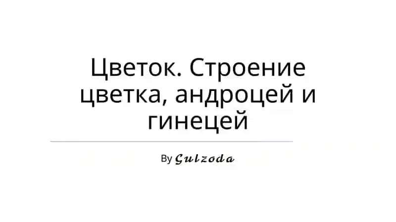 Цветок. Строение цветка, андроцей и гинецей