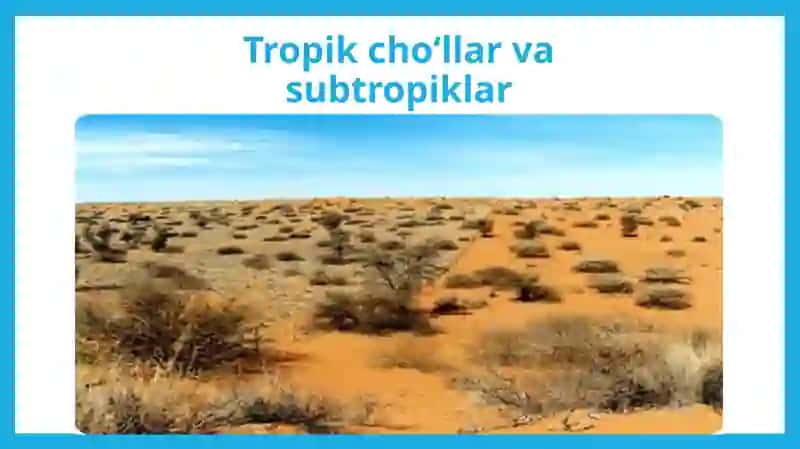 Tropikcho‘llar va subtropiklar