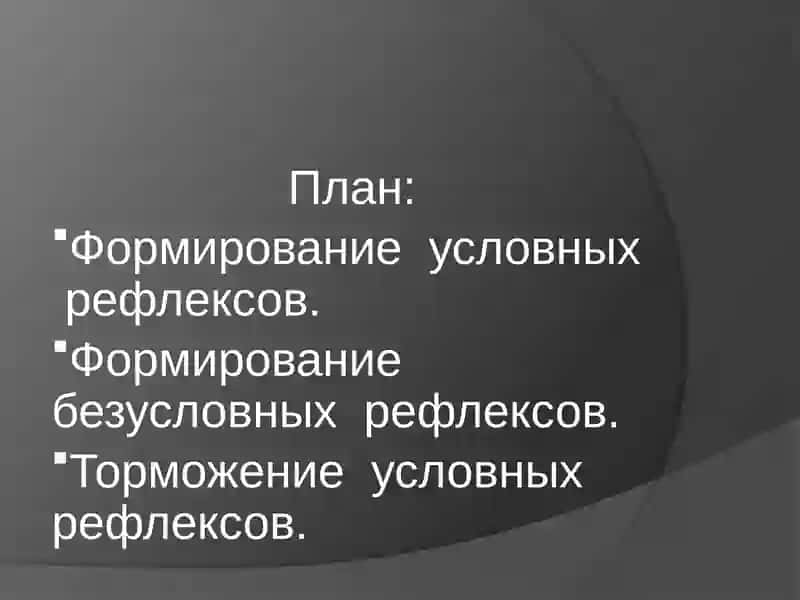 Образование и торможение условных рефлексов