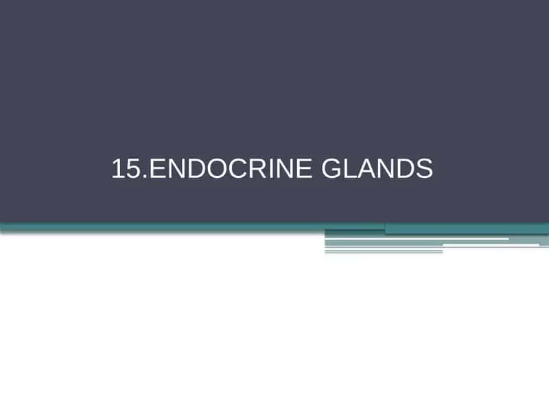 ENDOCRINE GLANDS