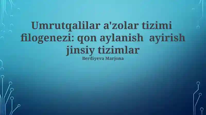 Umrutqalilar a'zolar tizimi filogenezi