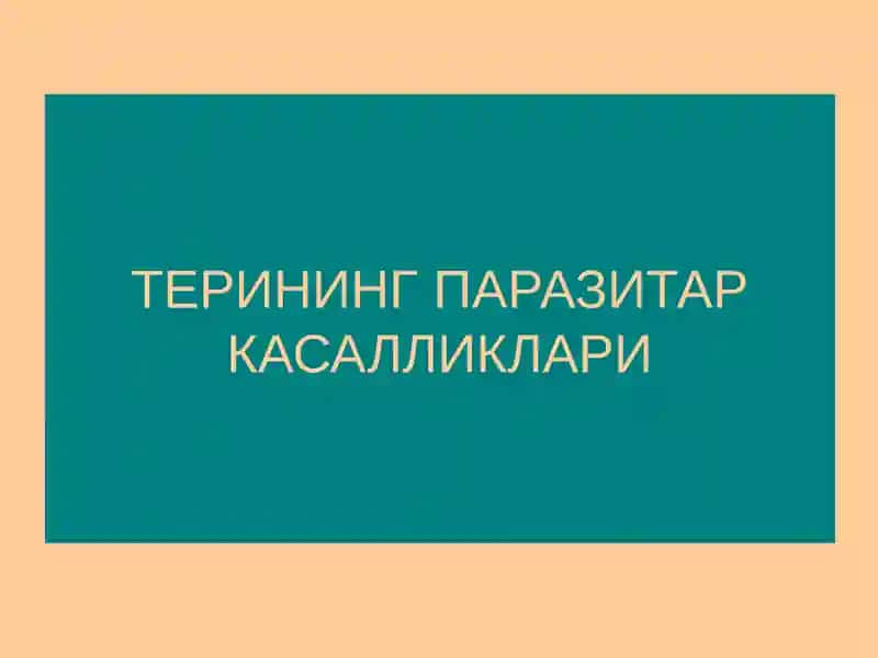 Терининг Паразитар Касалликлари