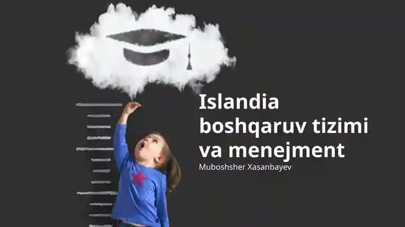 Islandia boshqaruv tizimi va menejment