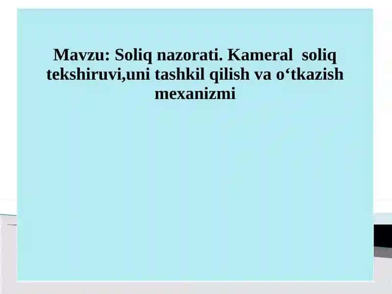 Soliq nazorati