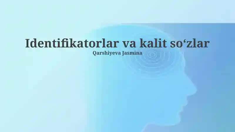 Identifikatorlar va kalit soʻzlar