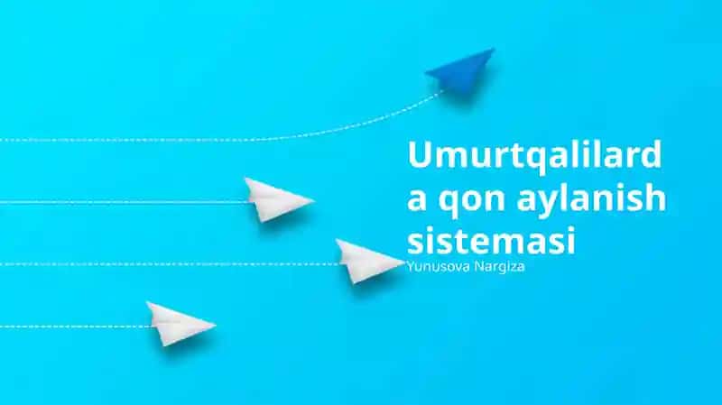 Umurtqalilarda qon aylanish sistemasi