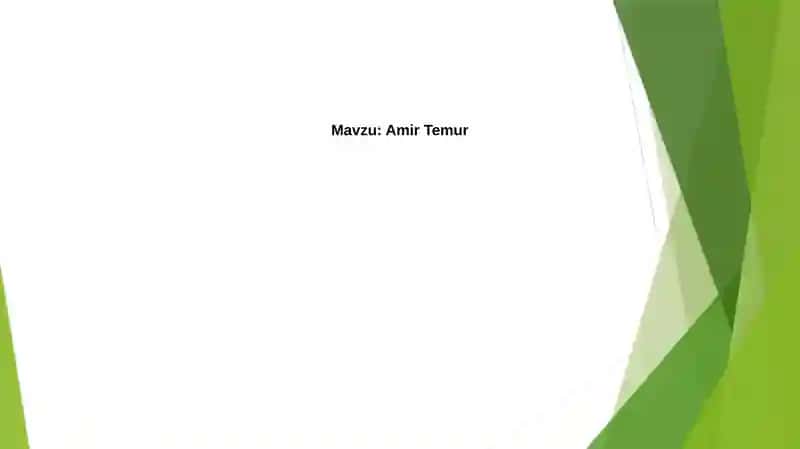 Amir Temur