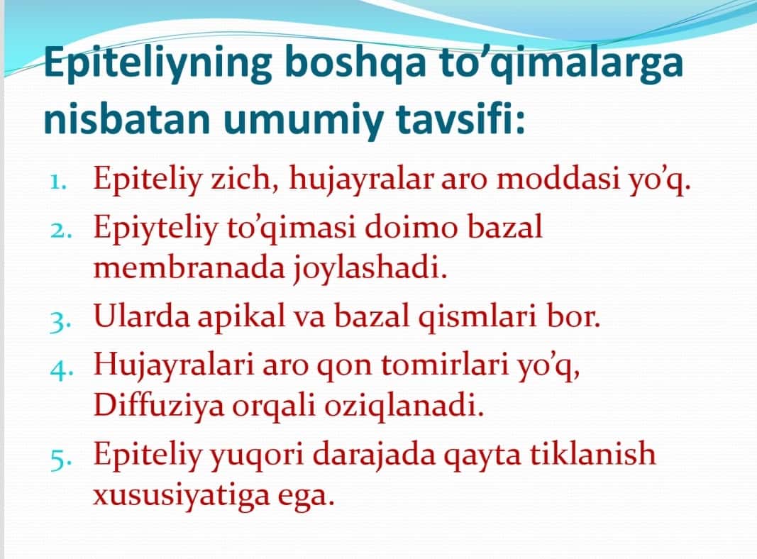 Epiteliy to'qimasi va bezlar