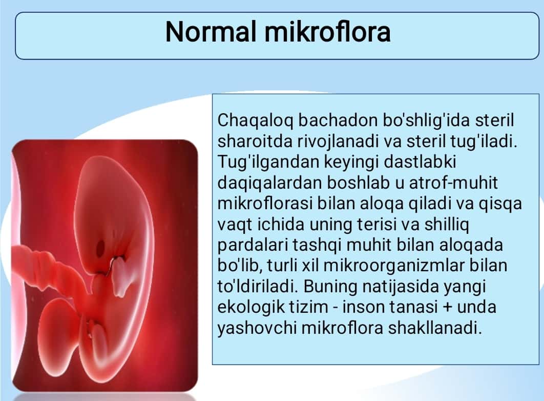 Odam organizmidagi normal mikroflora