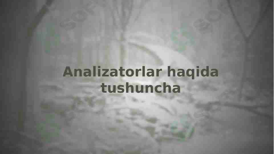 Analizatorlar haqida tushuncha