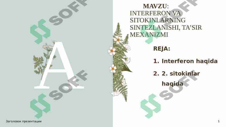 INTERFERON VA SITOKINLARNING SINTEZLANISHI, TA’SIR MEXANIZMI