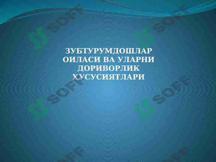 Zubturumdoshlar oilasi va ularni dorivorlik xususiyatlari