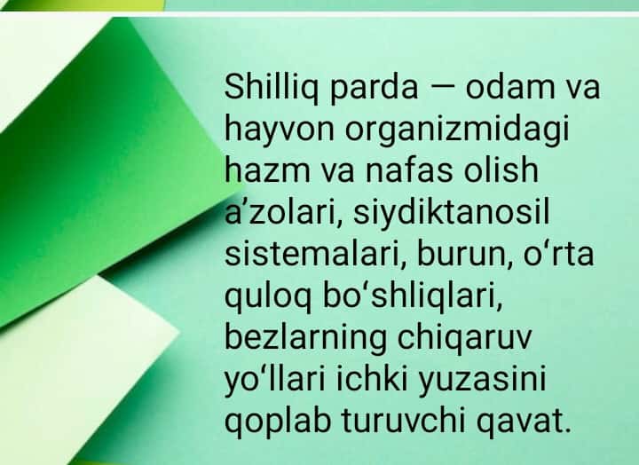 A'zolar shilliq pardalari tarkibidagi epitileyning óziga xosligi. Bezlar. Sekretor jarayonning gistofiziologiyasi. Sekretor tiplari