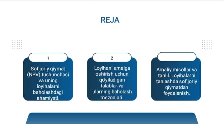 Loyihaning sof joriy qiymati va loyihani amalga oshirishga qo'yiladigan talablar.