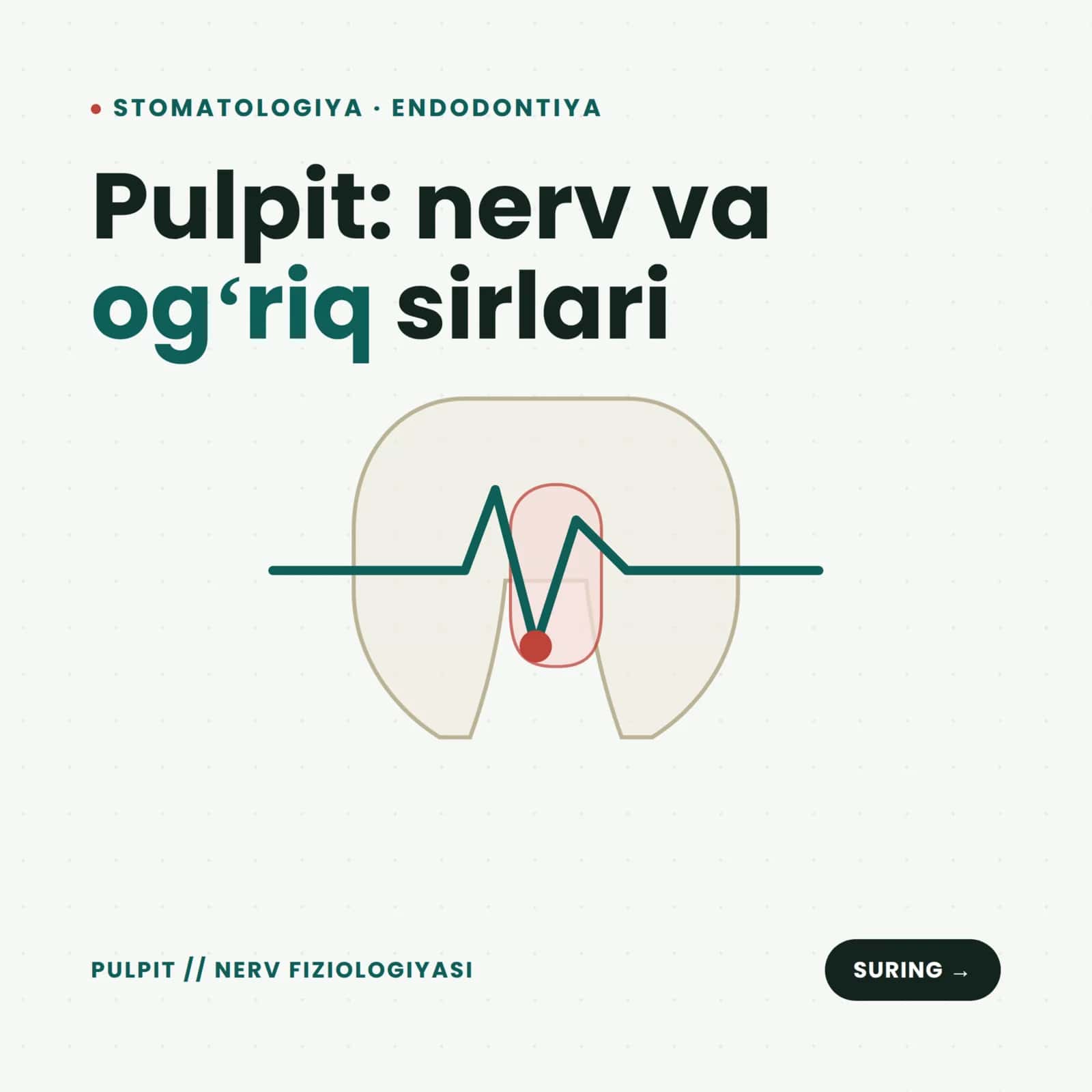Pulpit nima va uning rivojlanishi, patalogiyasi.