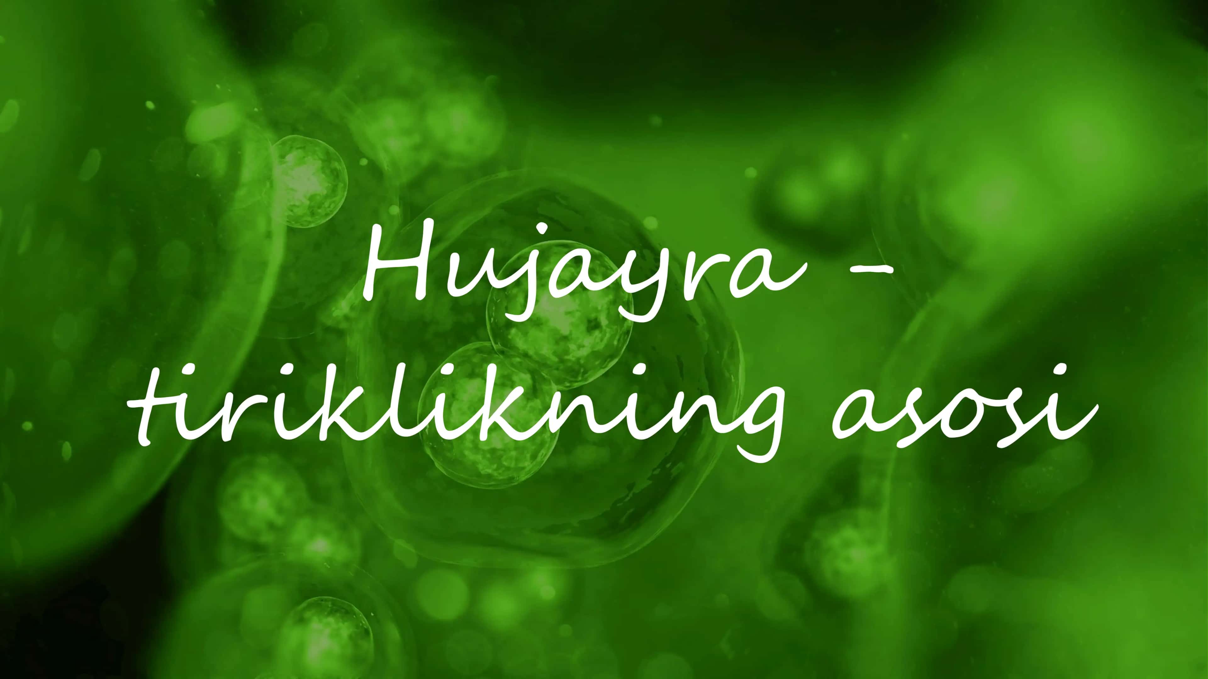 Hujayra - tiriklikning asosi