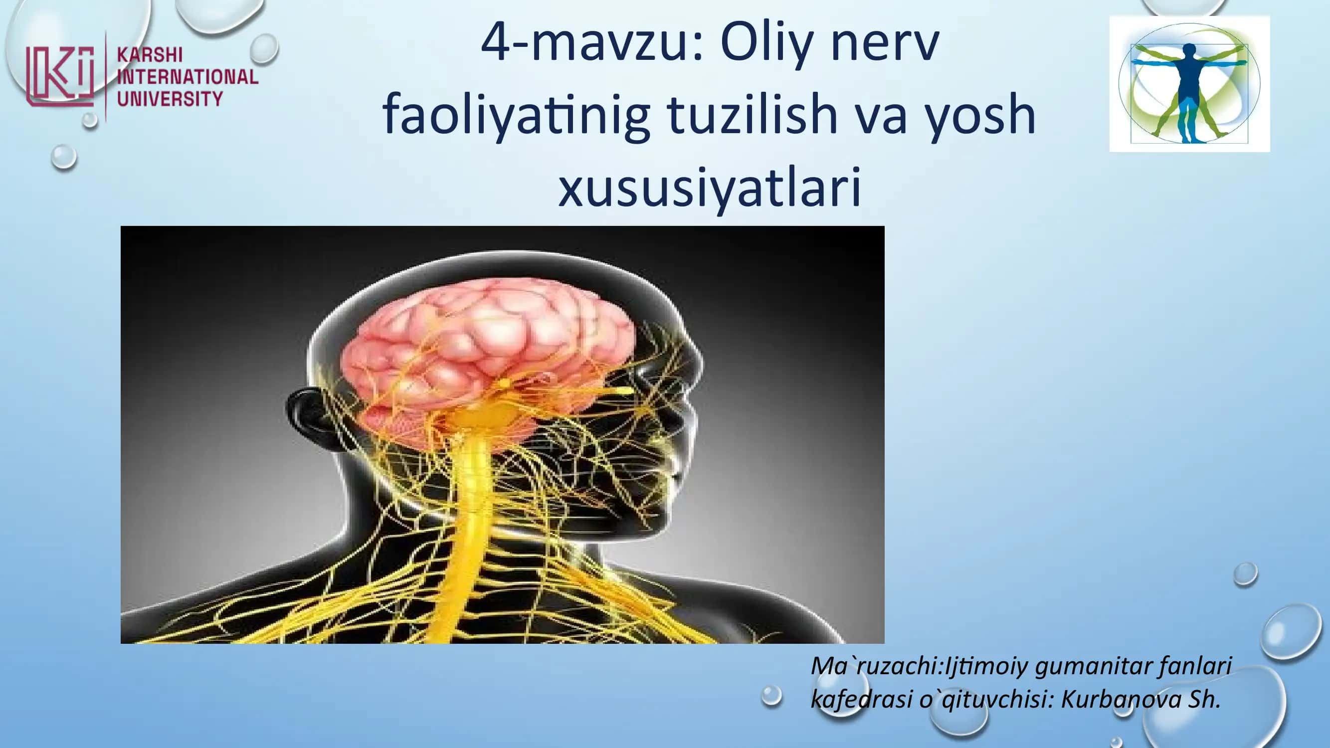 Oliy nerv faoliyati