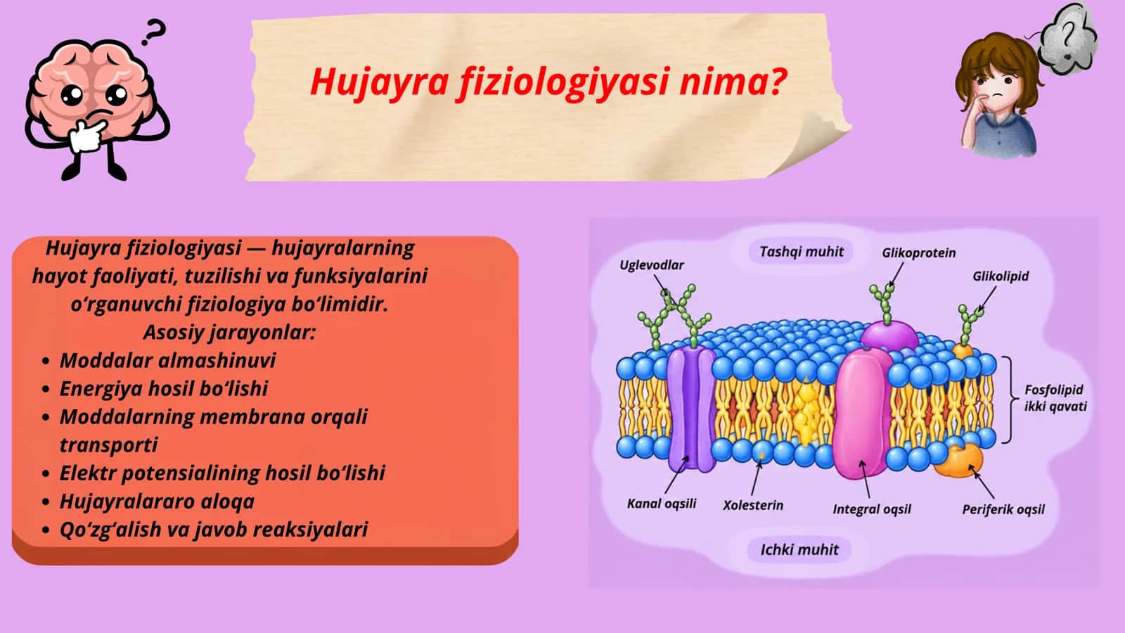 Hujayra fiziologiyasi. Hujayra membranasi tuzulishi.Ion kanallari turlari