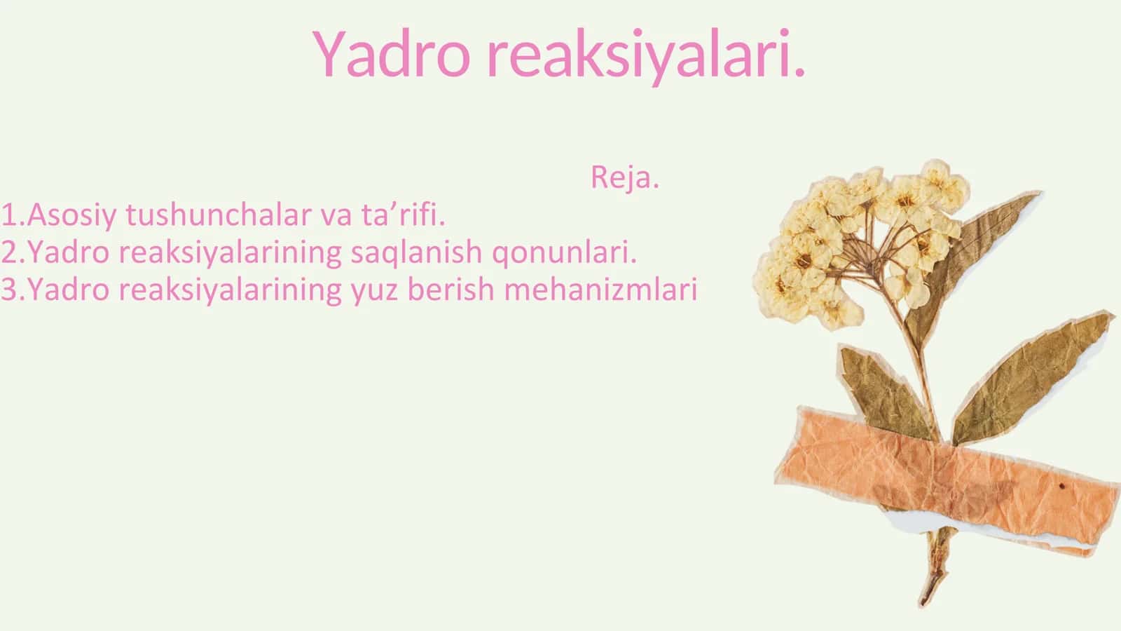Yadro reaksiyalari