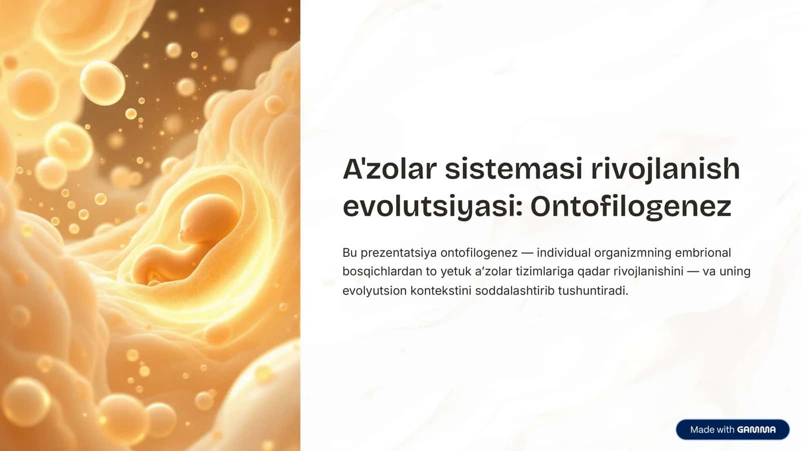 A'zolar sistemasi rivojlanish evolutsiyasi: Ontofilogenez