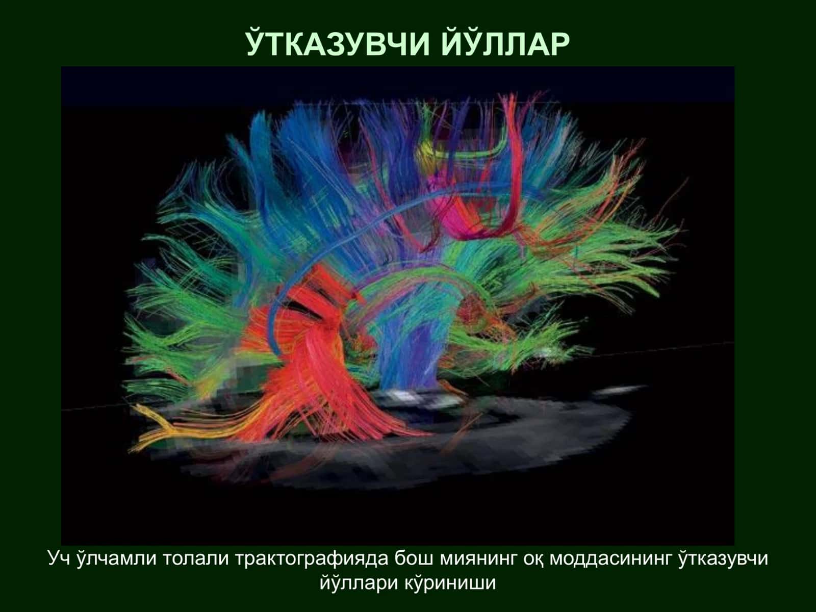 Ўтказувчи йўллар
