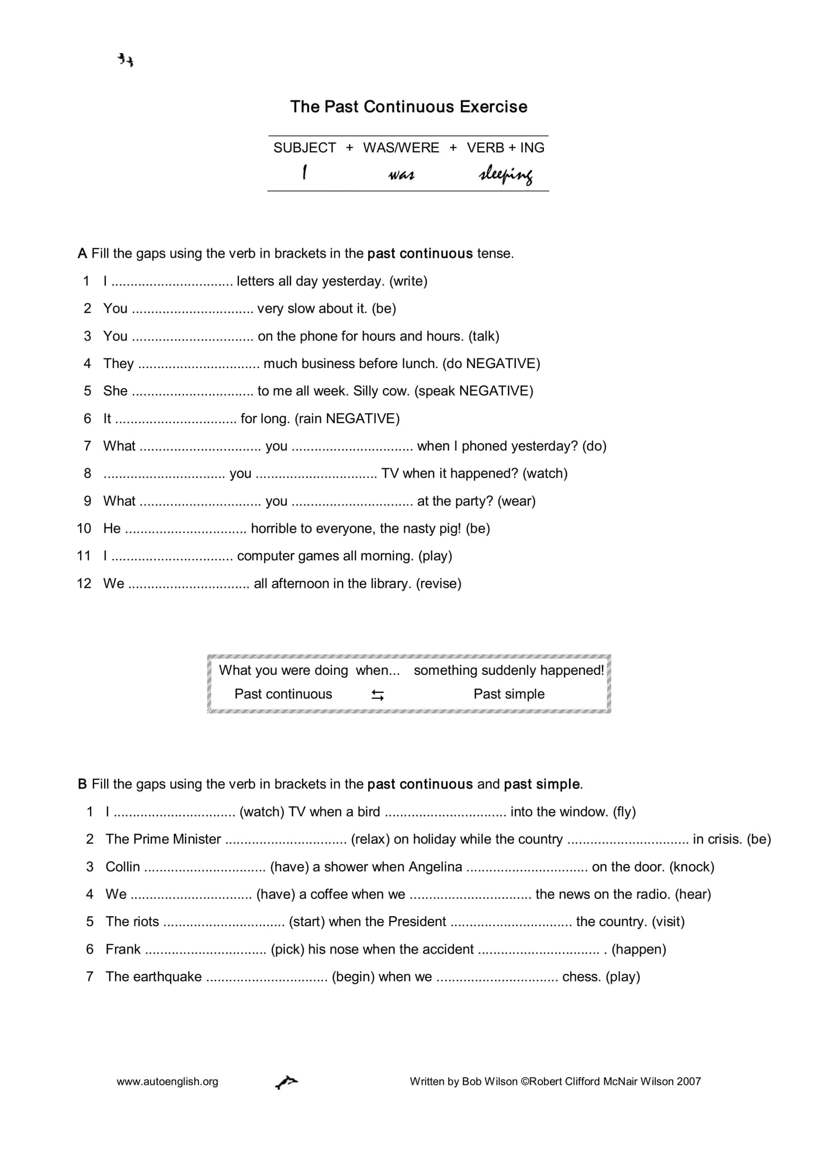 The Past Continuous Exercise