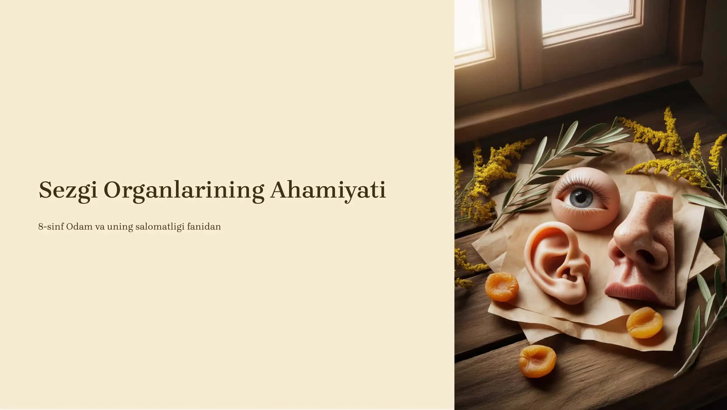 Sezgi Organlarining Ahamiyati