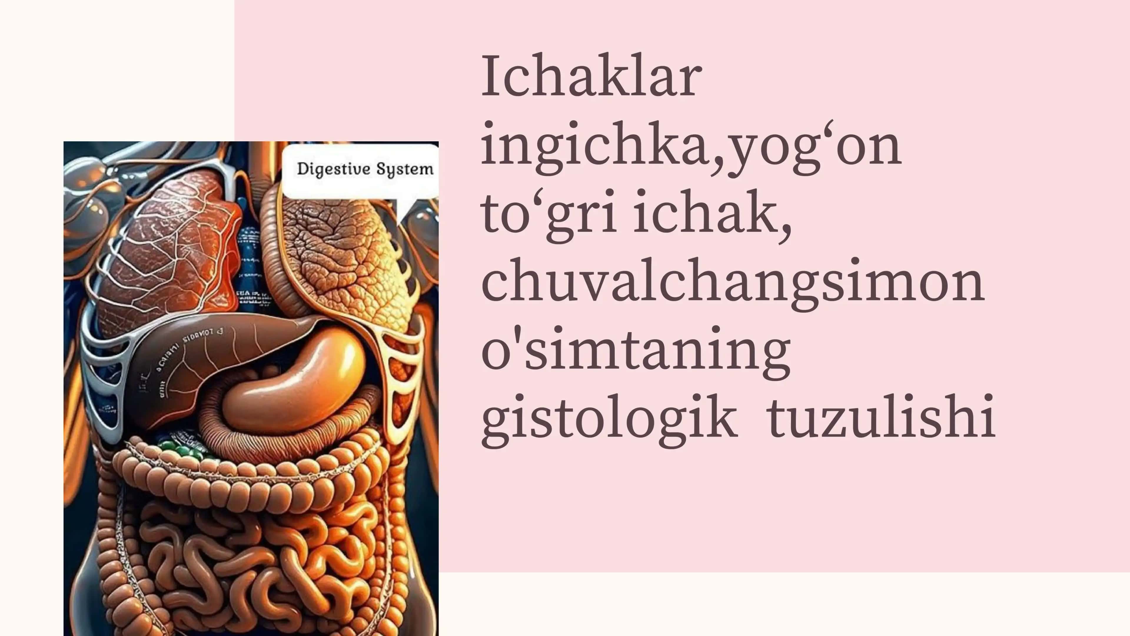 Reja: 1. INGICHKA ICHAK GISTOLOGIYASI