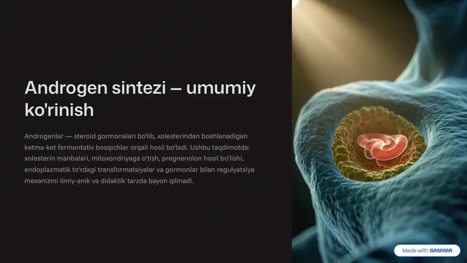 Androgen sintezi 4 umumiy