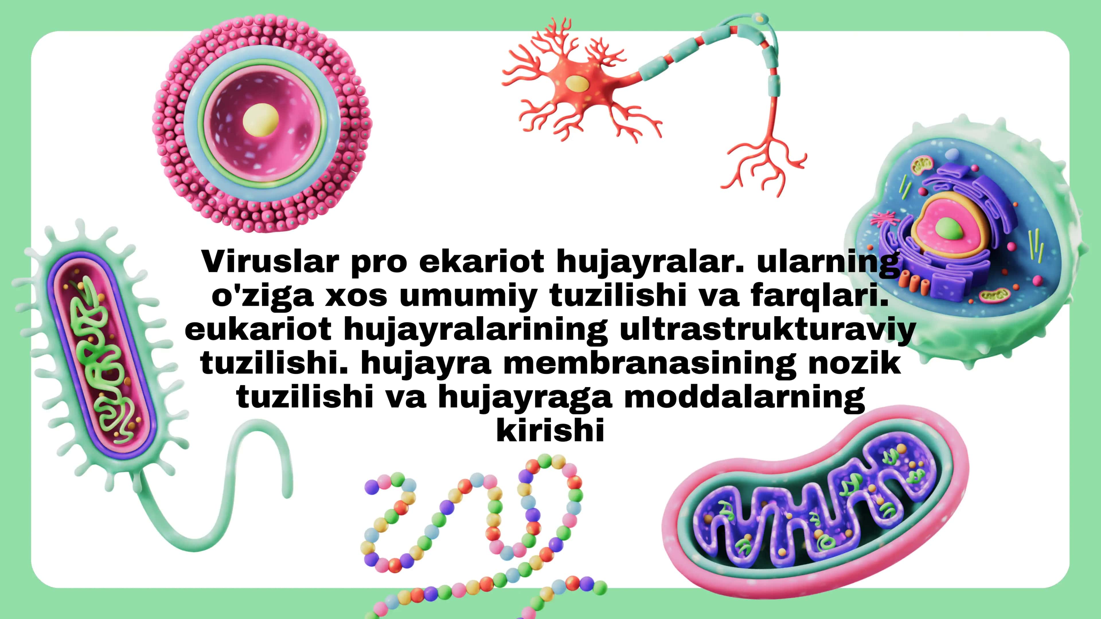 Viruslar haqida umumiy ma'lumot