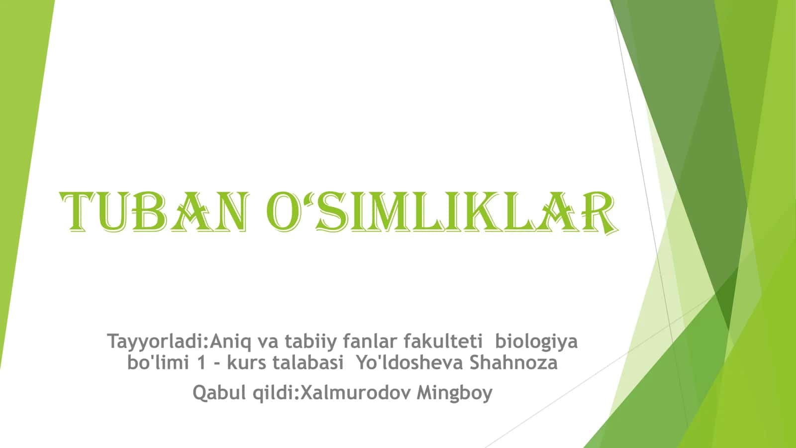 TUBAN O‘SIMLIKLAR