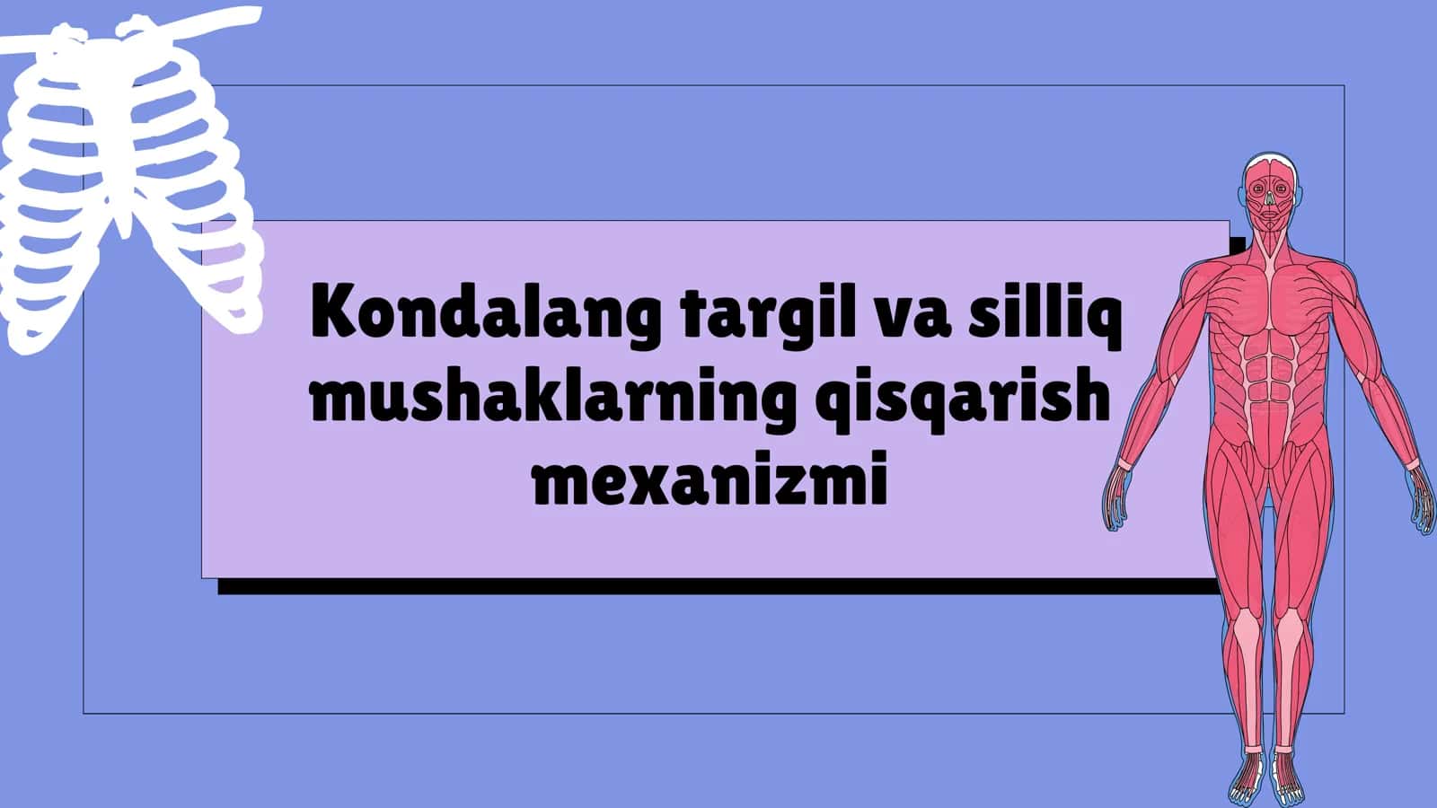 Kondalang targil va silliq mushaklarning qisqarish mexanizmi