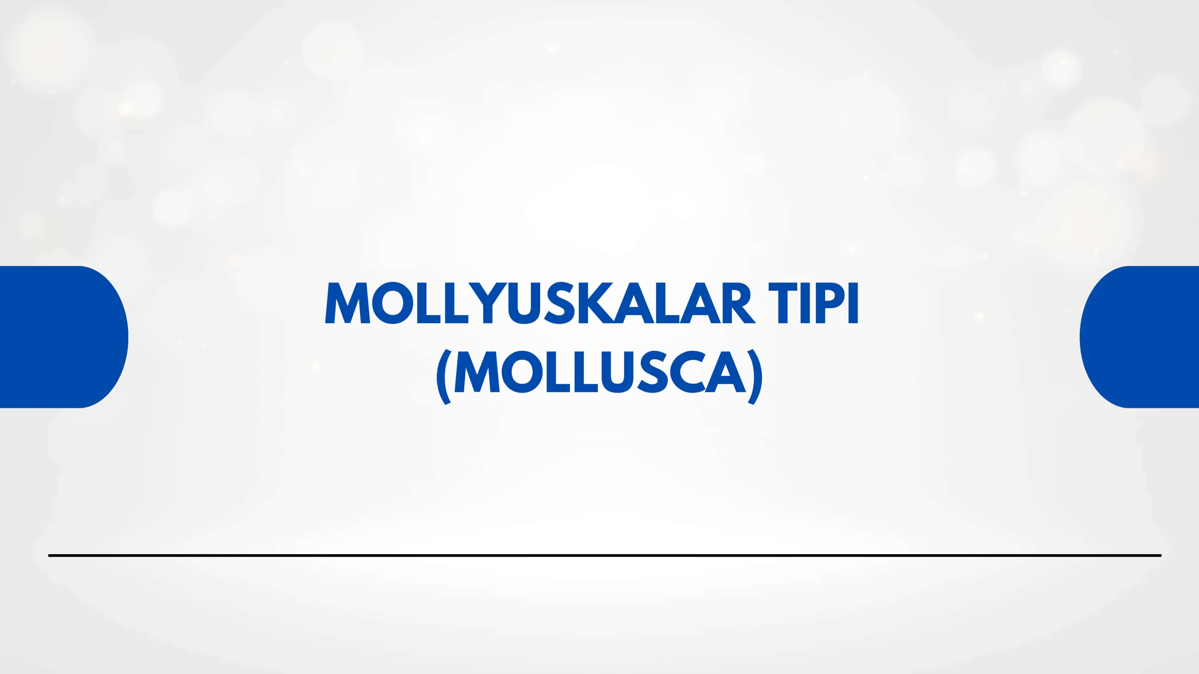 MOLLYUSKALAR TIPI (MOLLUSCA)
