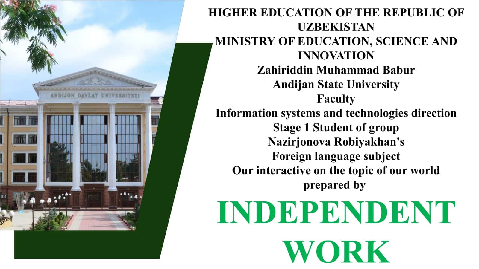 Information systems and technologies direction