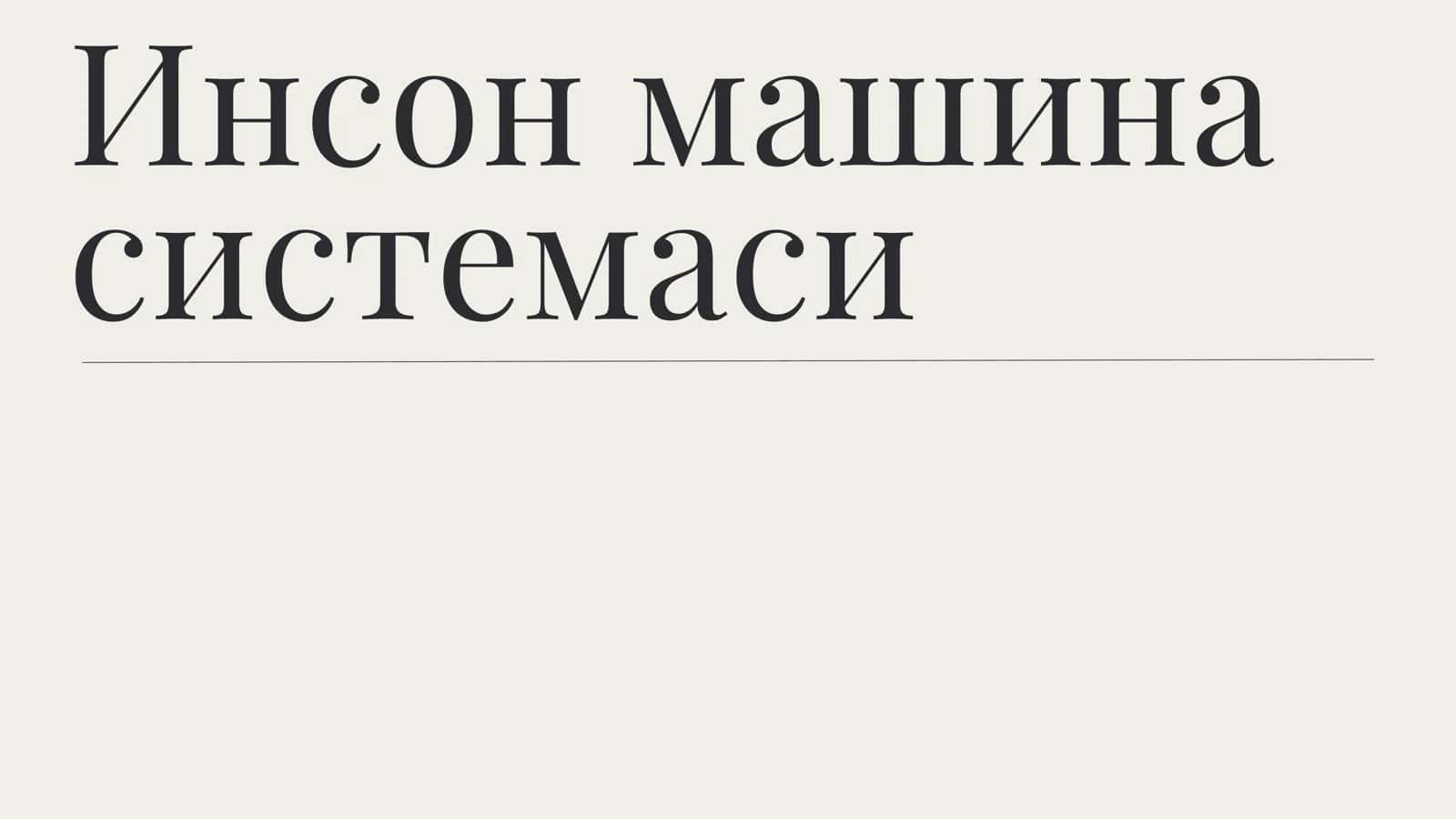 Инсон машина системаси