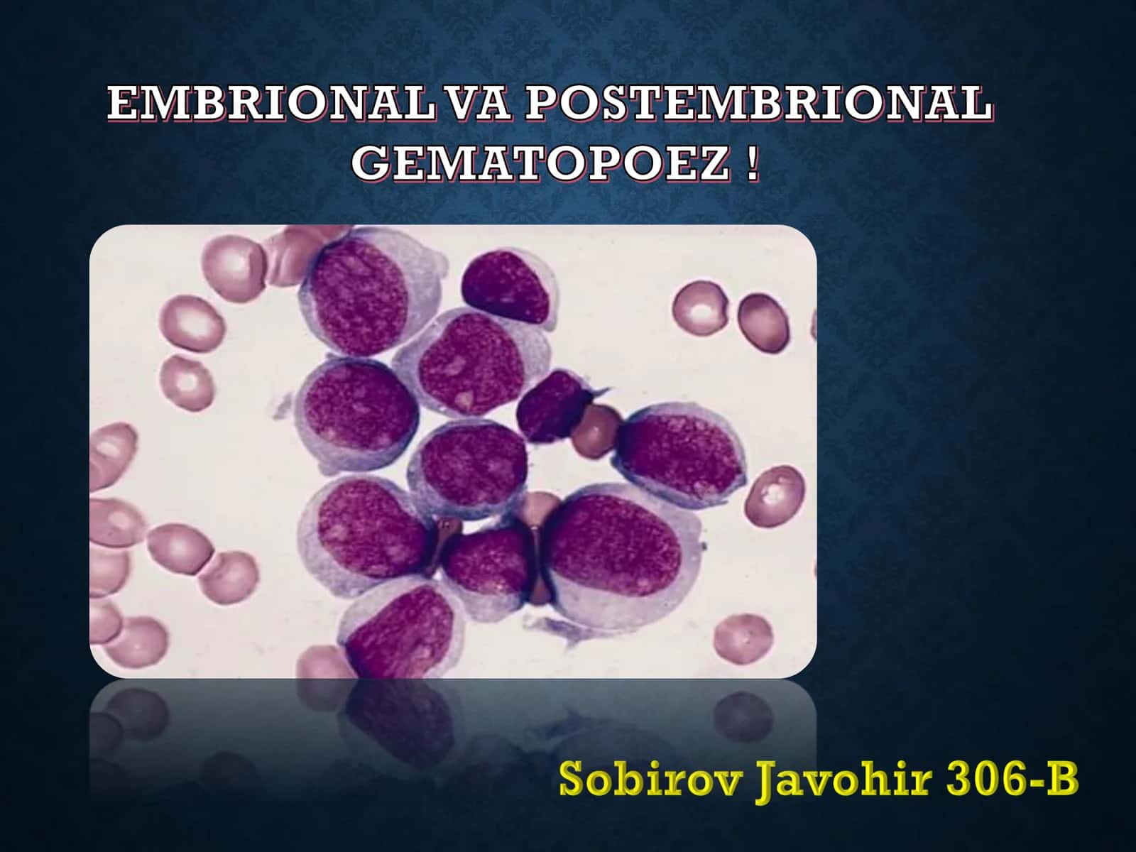 EMBRIONAL VA POSTEMBRIONAL GEMATOPOEZ