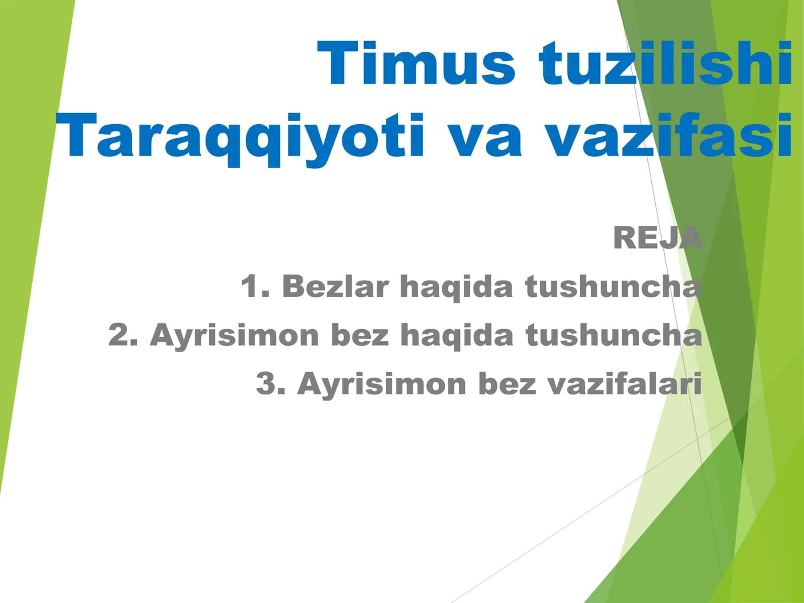 Timus tuzilishi